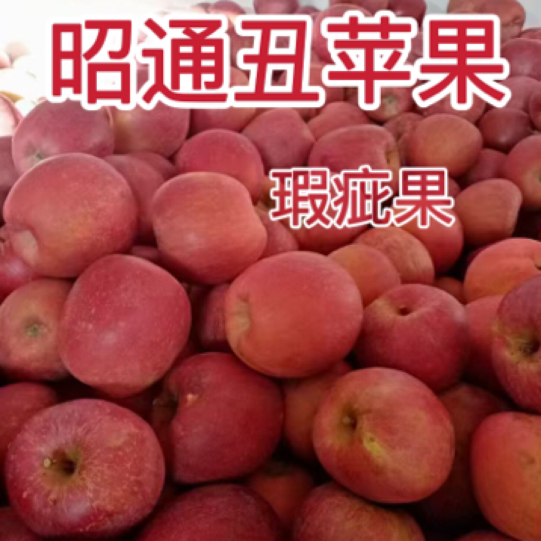 瑕疵果（介意慎拍）正宗云南昭通丑苹果脆甜多汁现摘现发