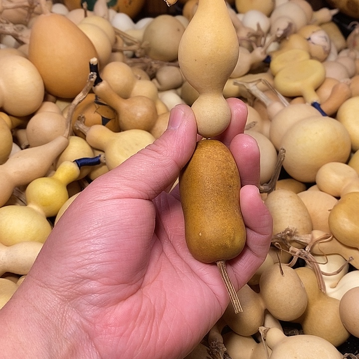 大***隆精品葫芦手把葫芦73