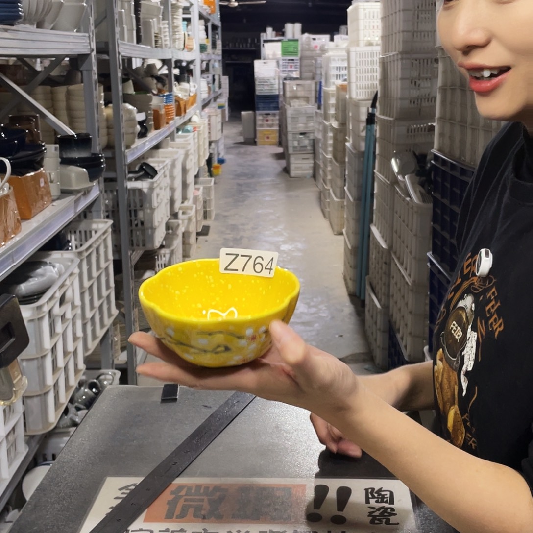 瓷片764              6个