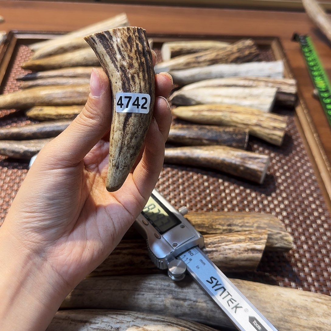 手串/手链鹿骨4742角尖