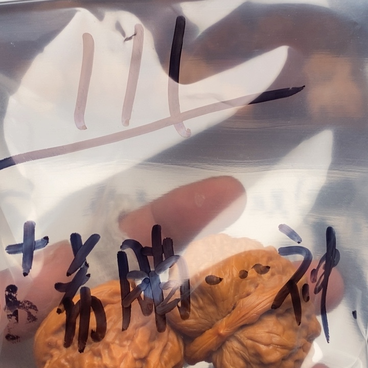 文玩核桃把件古****神蛤蟆头啊不退不换