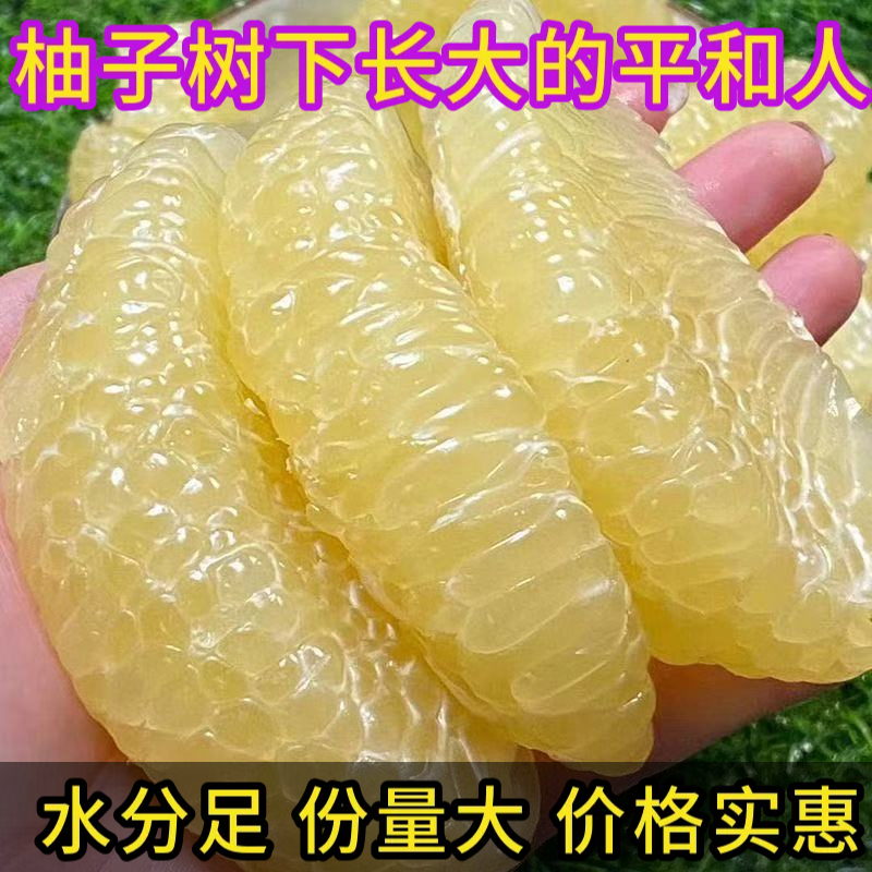 福建白心柚子白心蜜柚新鲜现摘水晶蜜柚白柚子正宗福建平和蜜柚