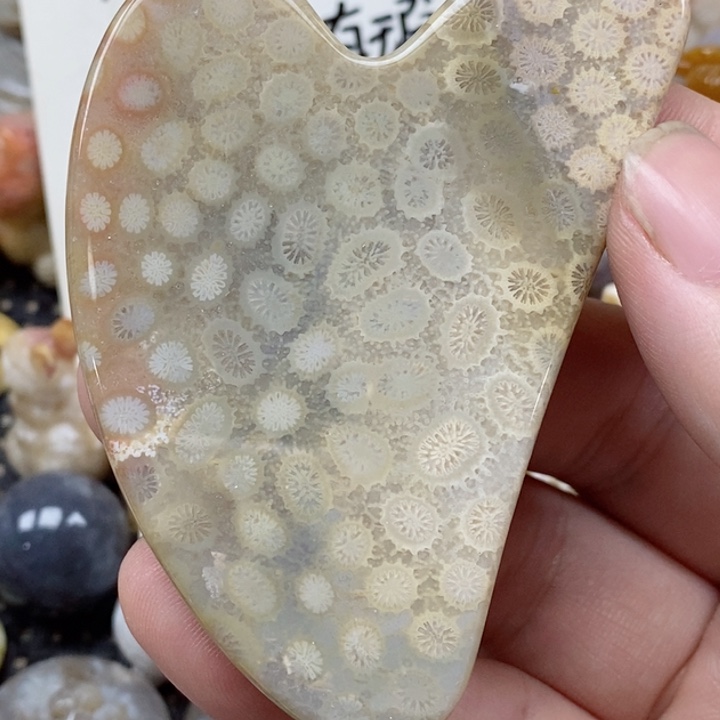 颈饰未镶嵌硅化珊瑚（珊瑚玉）