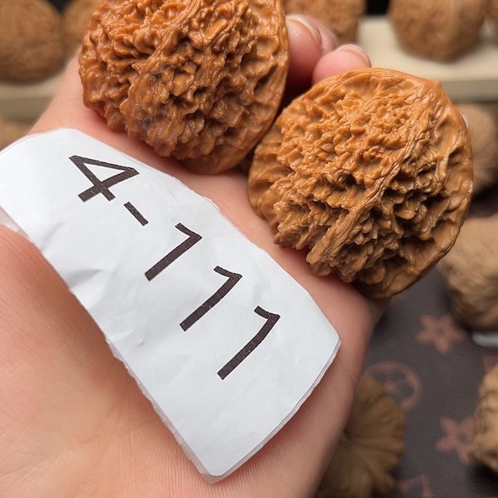 核桃42满天星4111