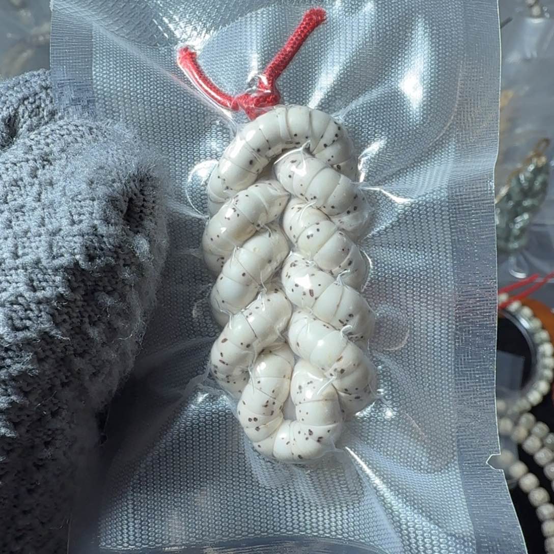 星月菩提把件原生态顺白大肠同枝6