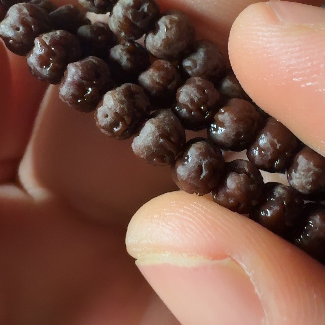 金刚菩提吊坠五爪金龙