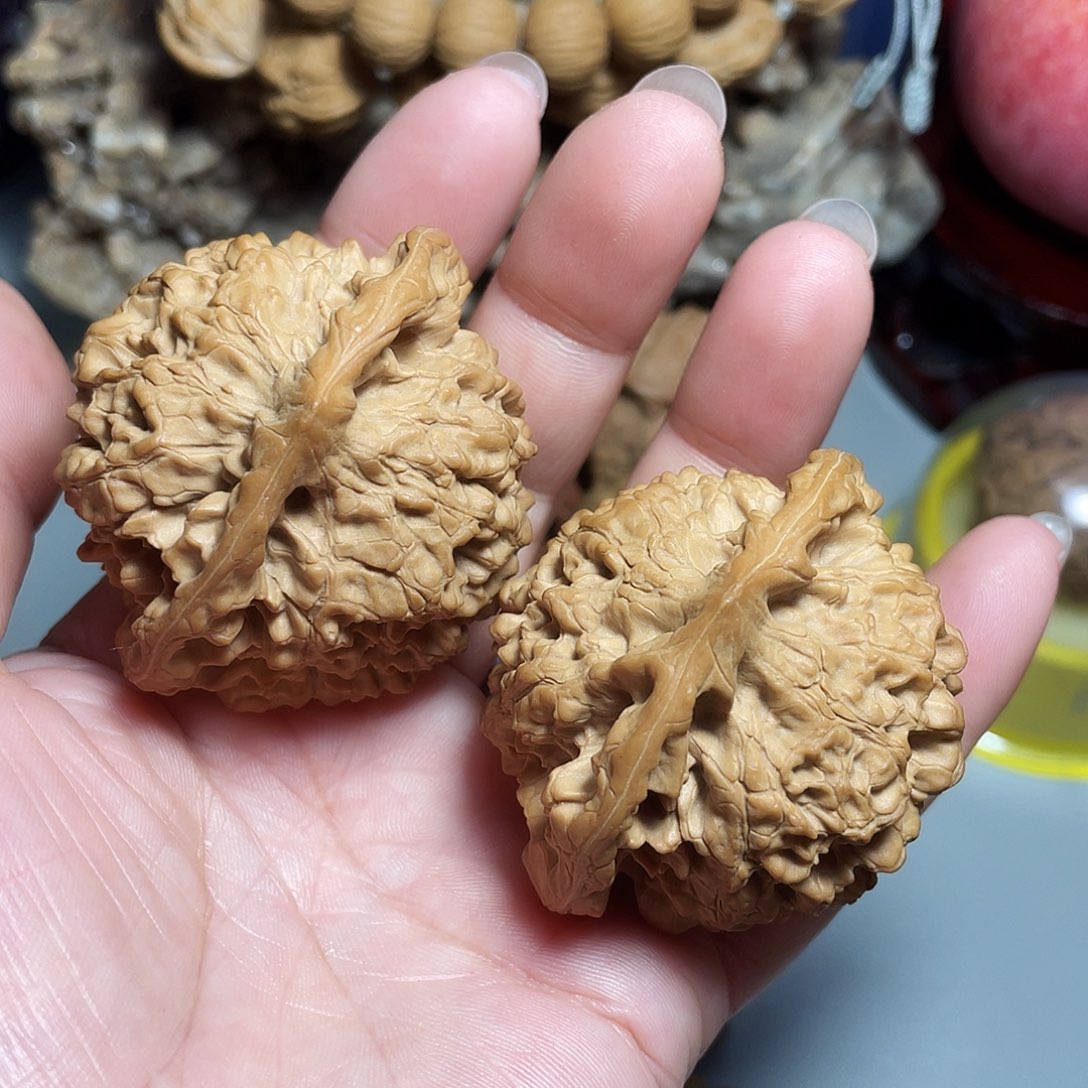 核桃手串/手链精品官帽51加