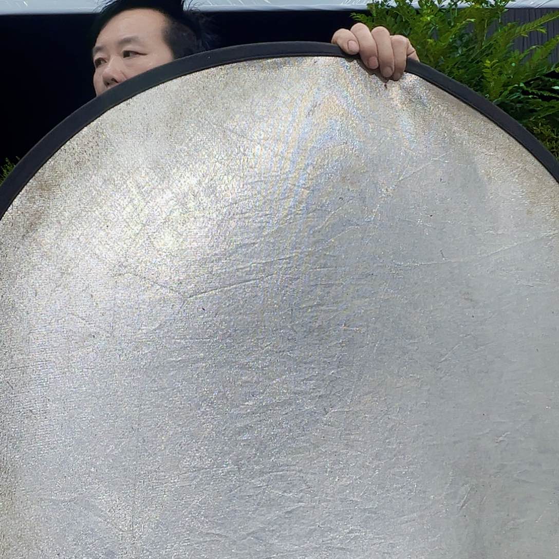 当前无花朵，栽培后可花朵l****e