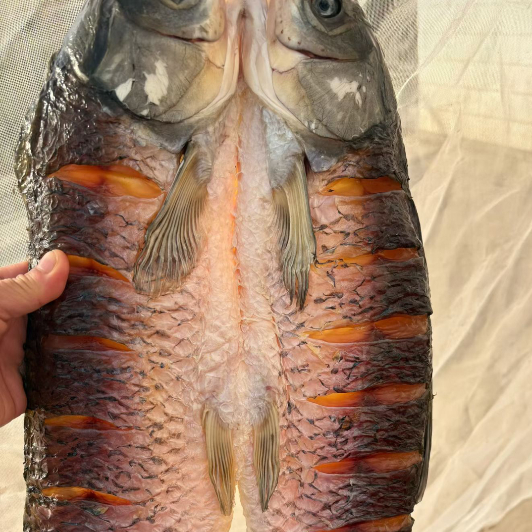 湖北特产腊香草鱼干、自然阳光晒干，咸香入味下饭