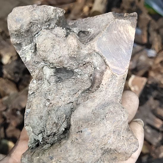 八***财木太行山沉化麻梨疙瘩随型