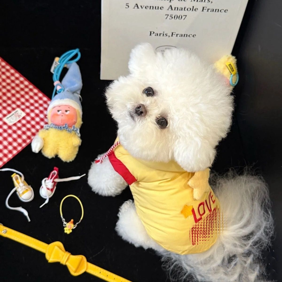 宠物衣服秋冬款狗狗棉服马甲雪纳瑞泰迪比熊博美猫咪加绒马甲