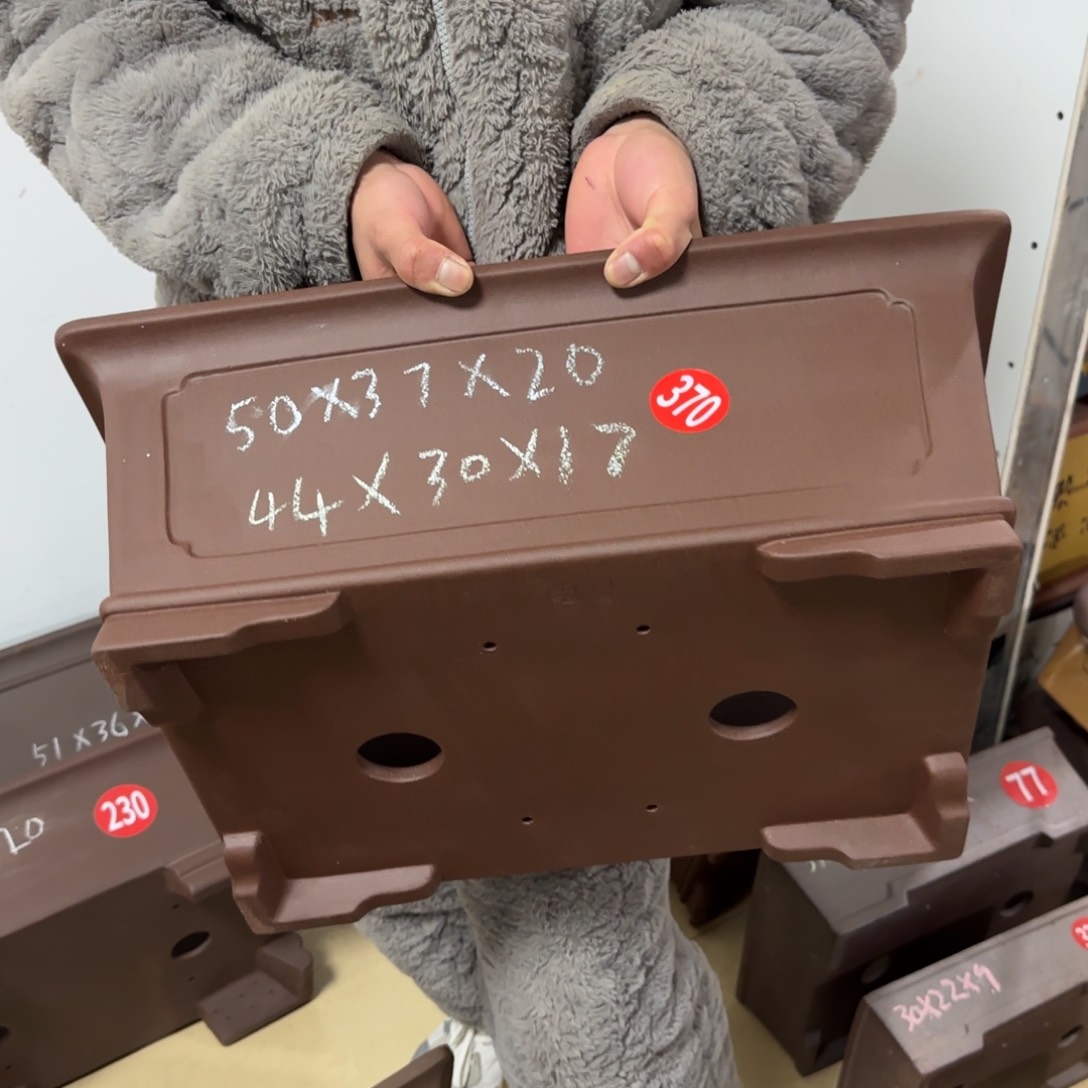 紫砂花盆呜呜呜呜