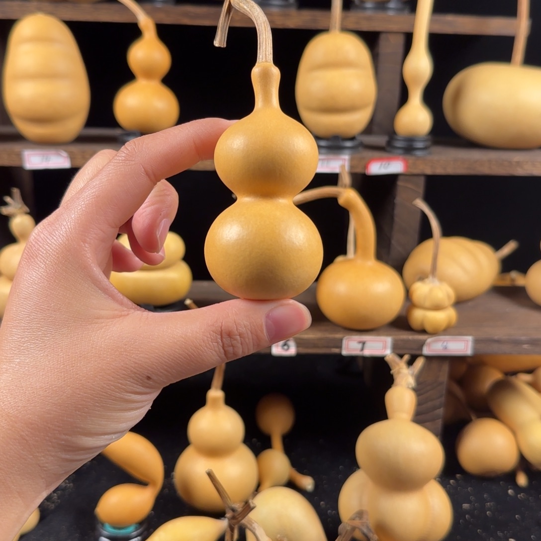 A***๑葫芦葫芦葫芦葫芦葫芦