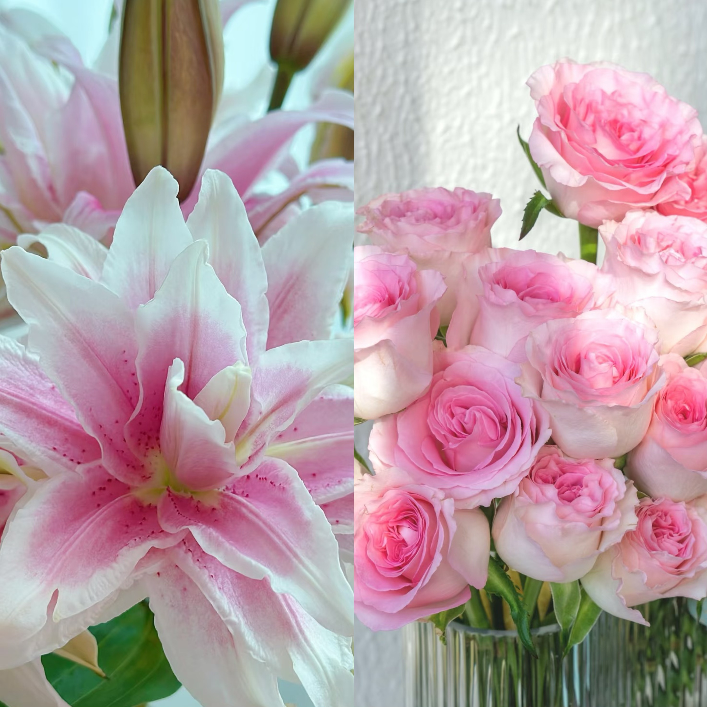 【伊莎贝拉+洛神+配草】云南鲜切花玫瑰花鲜花精致花束发顺丰