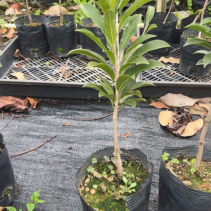 人****81234556666666