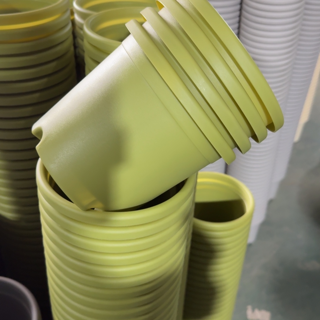 四季2#无拖果绿10个