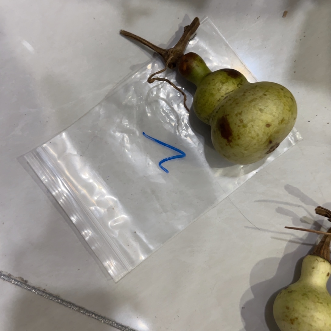 无***敌葫芦富豪火锅城VVJ就和陈俊杰