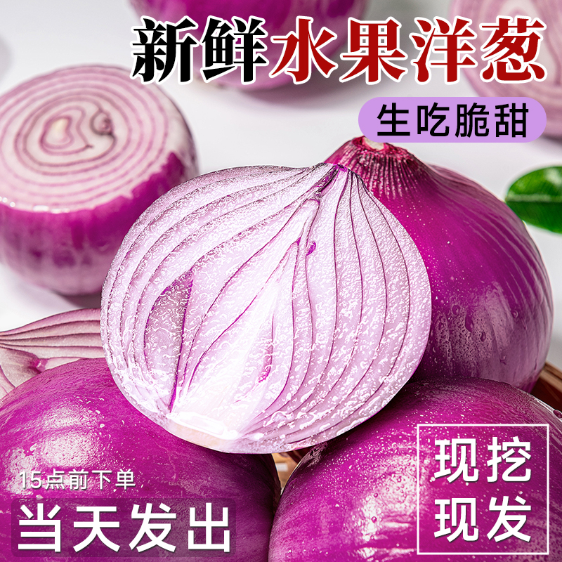 水果洋葱5斤生吃新鲜洋葱甜味蔬菜不辣红皮大圆葱批发产地直销