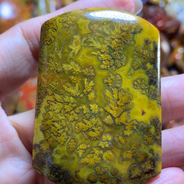 玛瑙/玉髓战国红吊坠未镶嵌