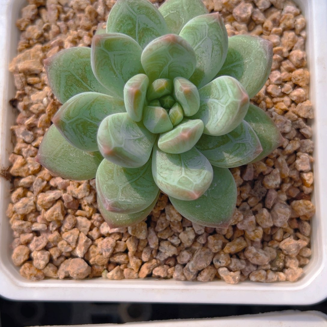 小***哥111111111111111111111