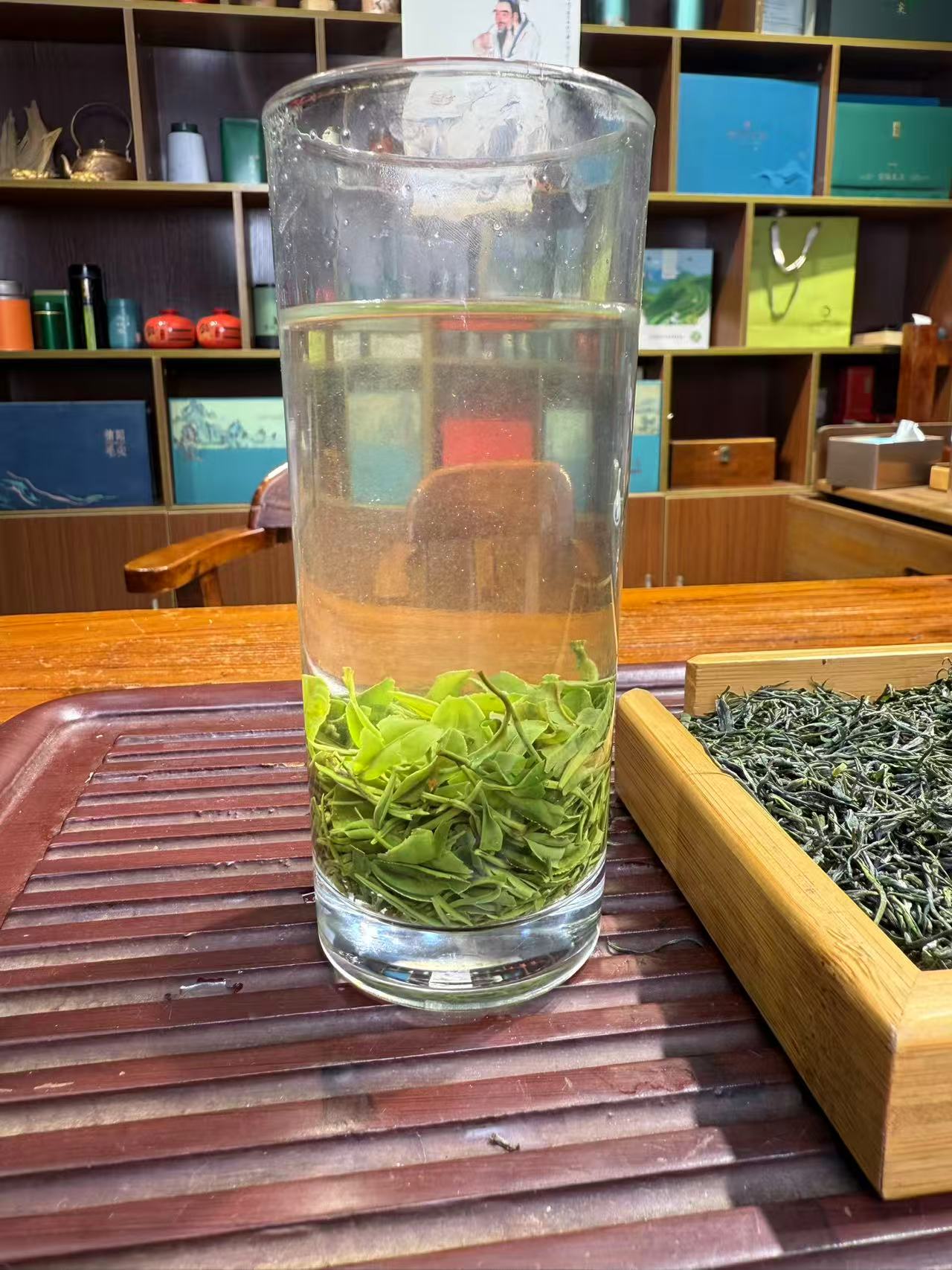 新茶信阳毛尖雨前芽叶