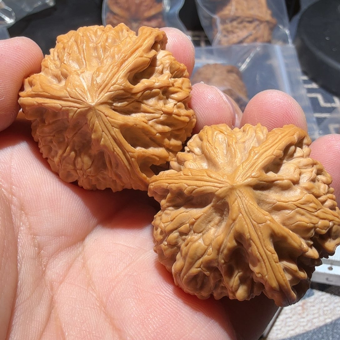 文玩核桃把件K***_御龙正奔