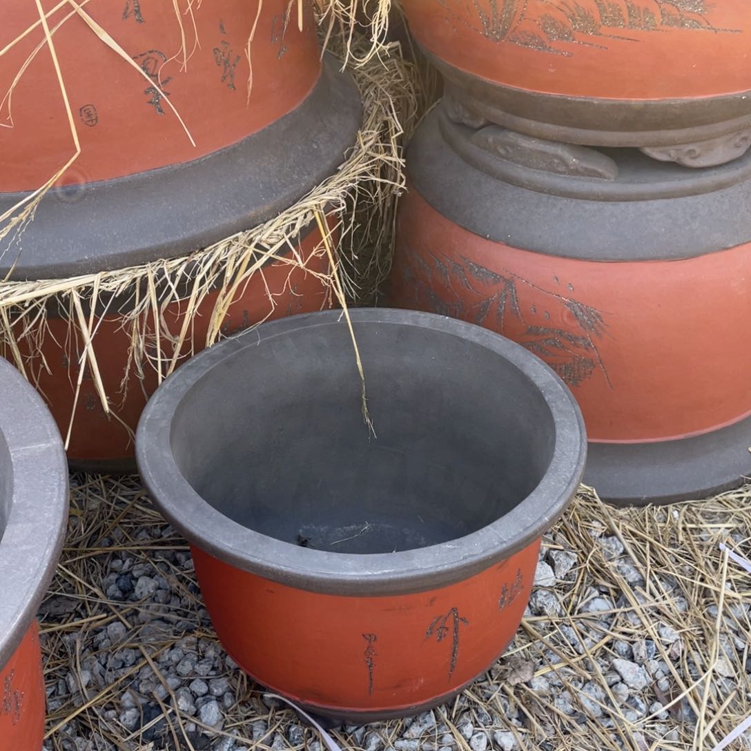 紫砂龙*大金钟 小号 一只