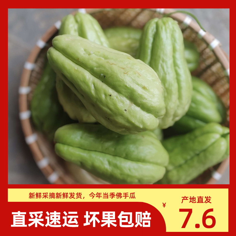 贵州高原炖汤当季蔬菜老佛手瓜