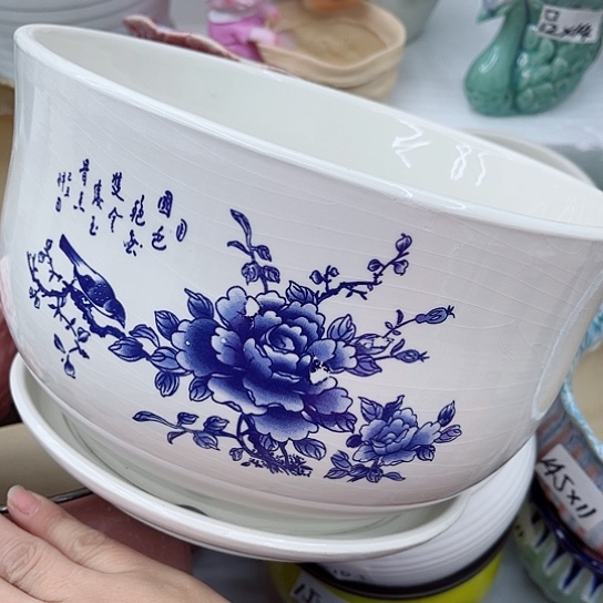 陶瓷多肉绿植陶瓷花盆