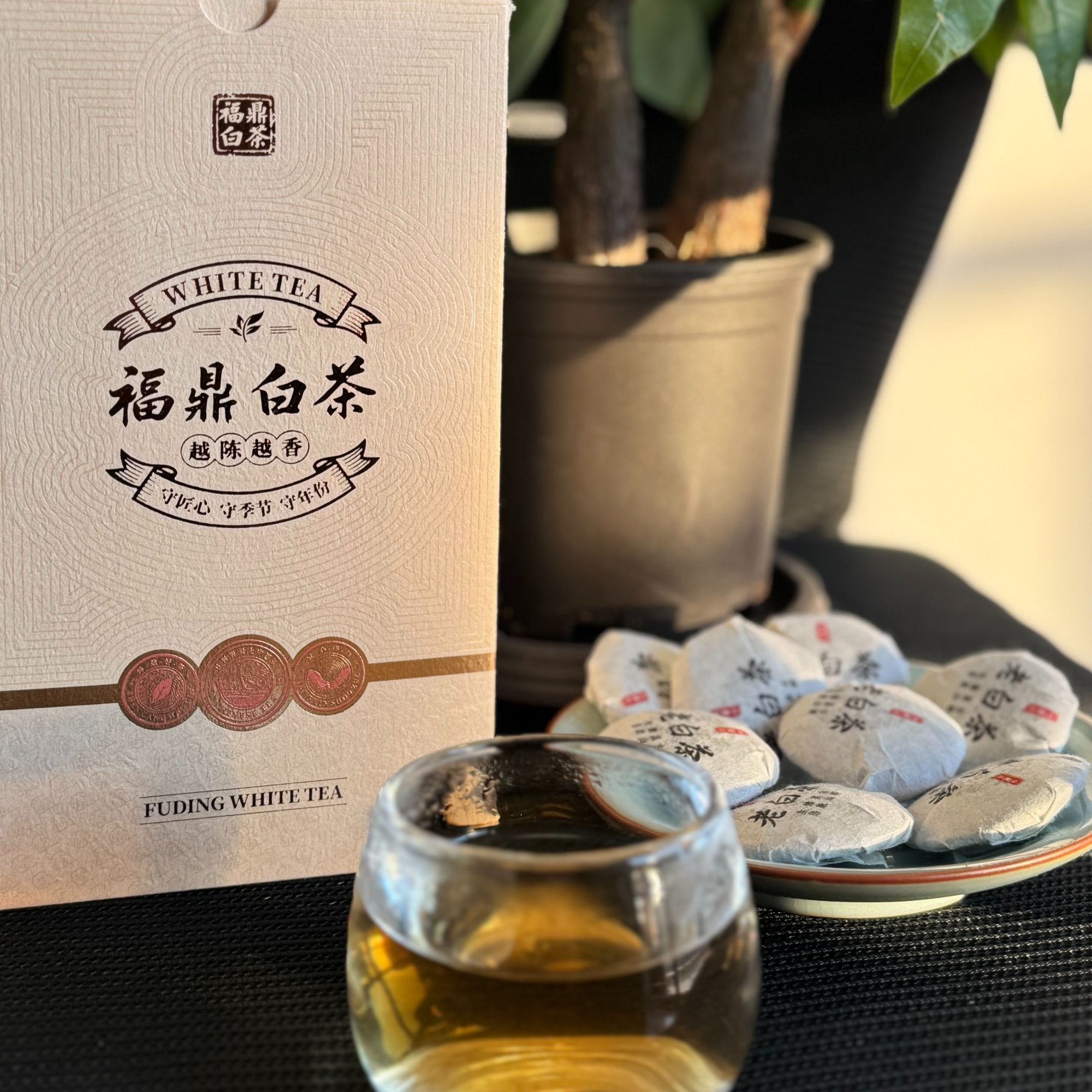 福鼎磻溪老白茶一级寿眉老黄岗小金币拍下30饼送20饼