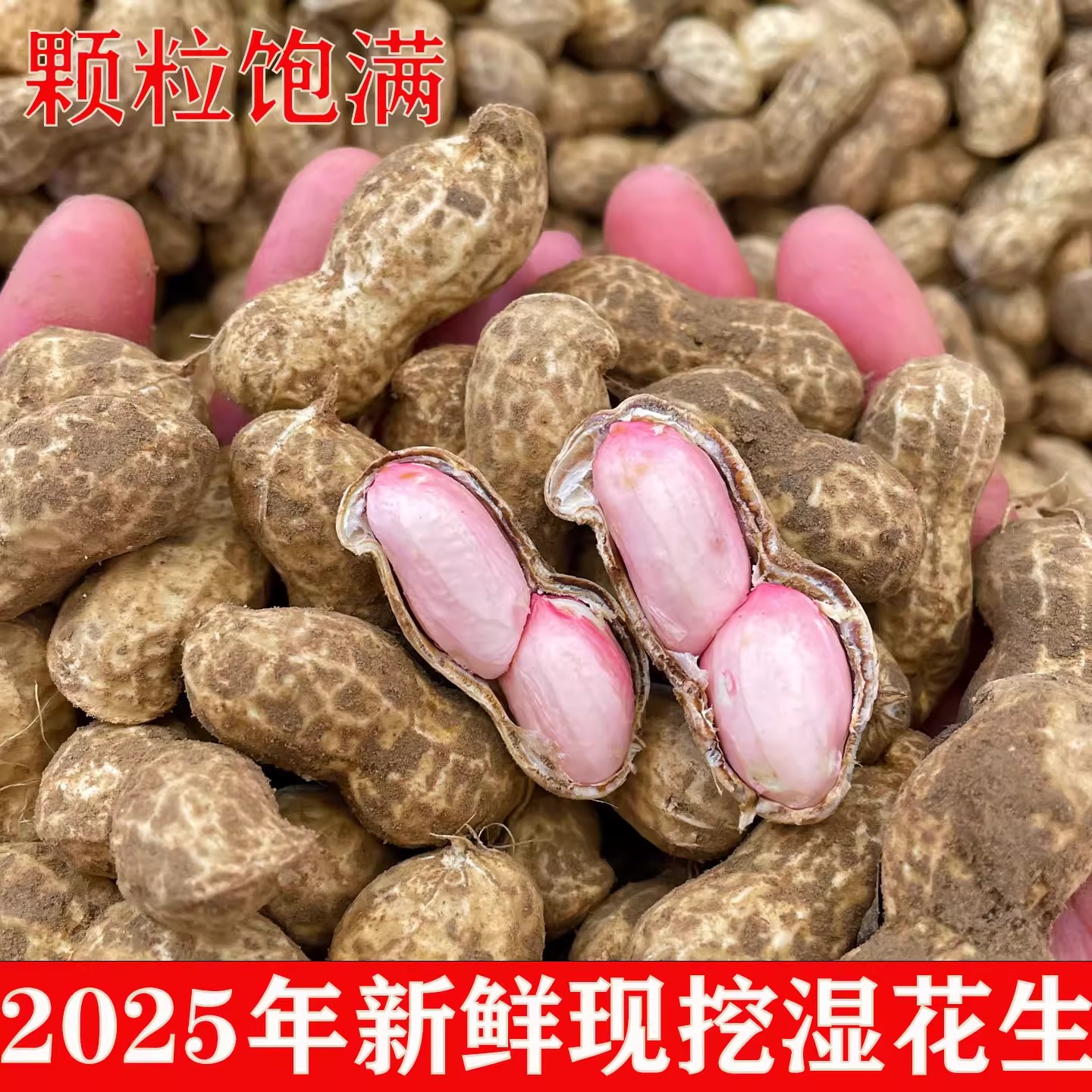 【6斤装大花生】新鲜现挖带壳带泥粉皮花生可生吃水煮农家自种