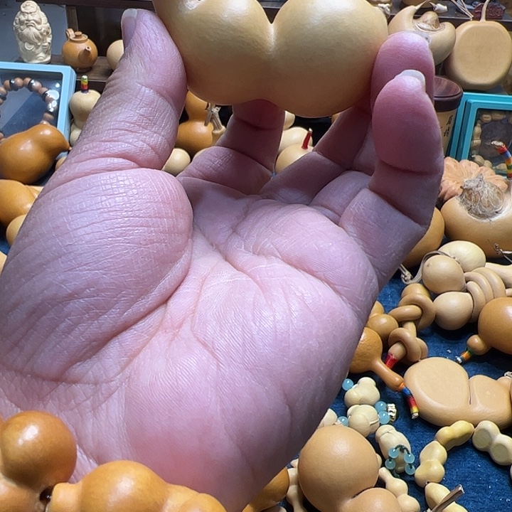 远***～精品葫芦粗腰蚂蚁