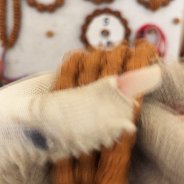 斯***文探险1285689889999