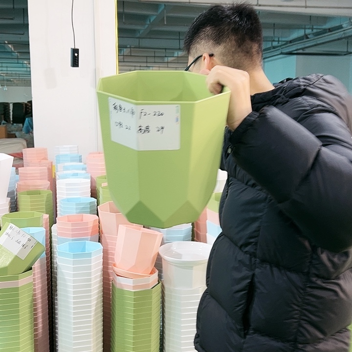 fz220口22高24果绿带托4只