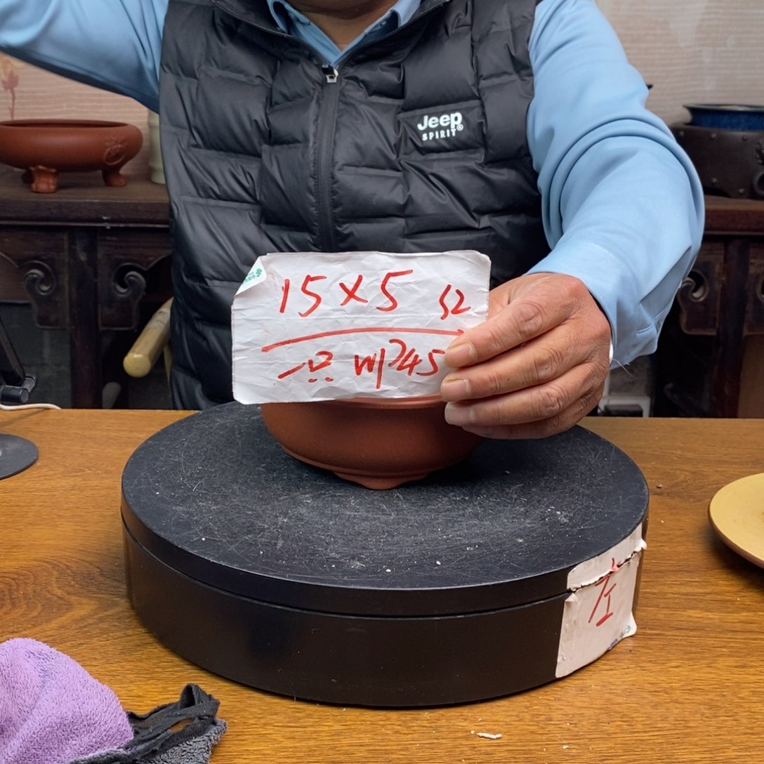 红陶货号一只WP45