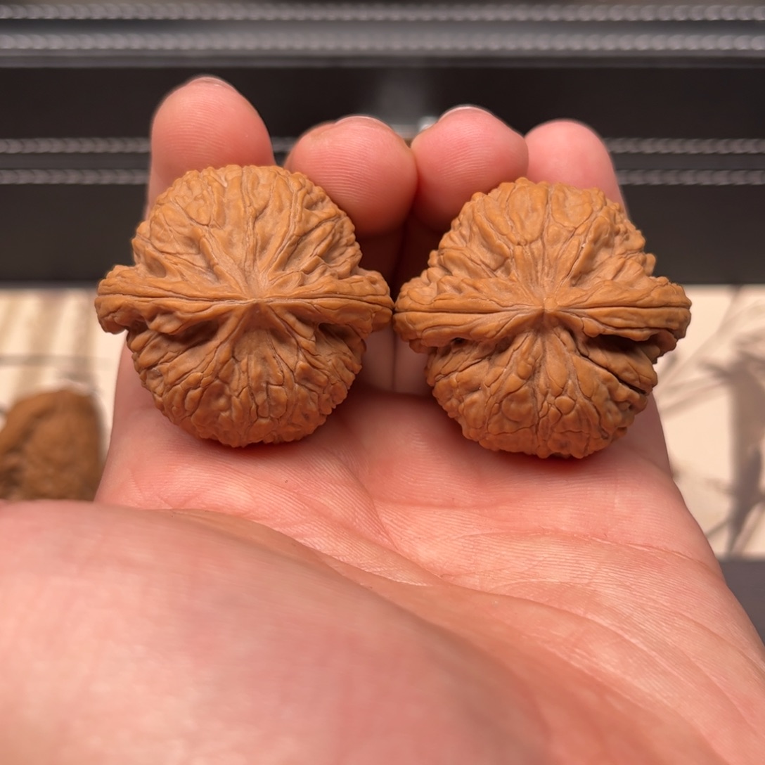 文玩核桃吊坠39蛟龙