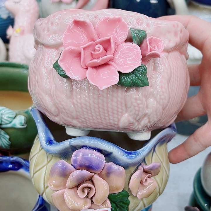 多肉植物陶瓷花盆