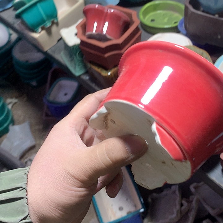 紫砂哈哈真的是太给力太