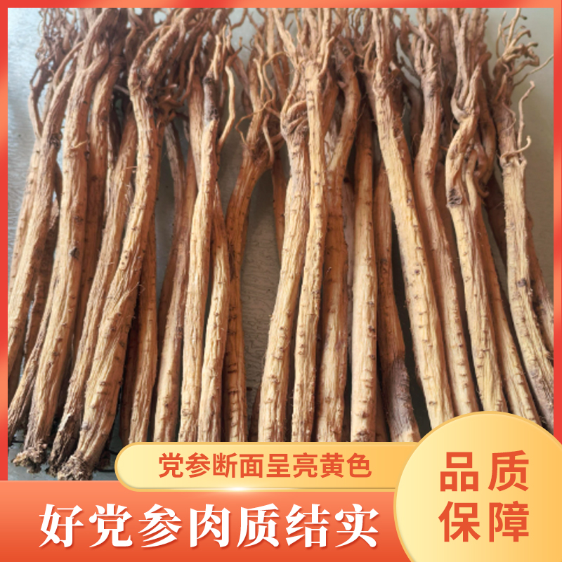 甘肃岷县党参条产地发货原色精选水洗 大条党参 干净煲汤泡水炖肉