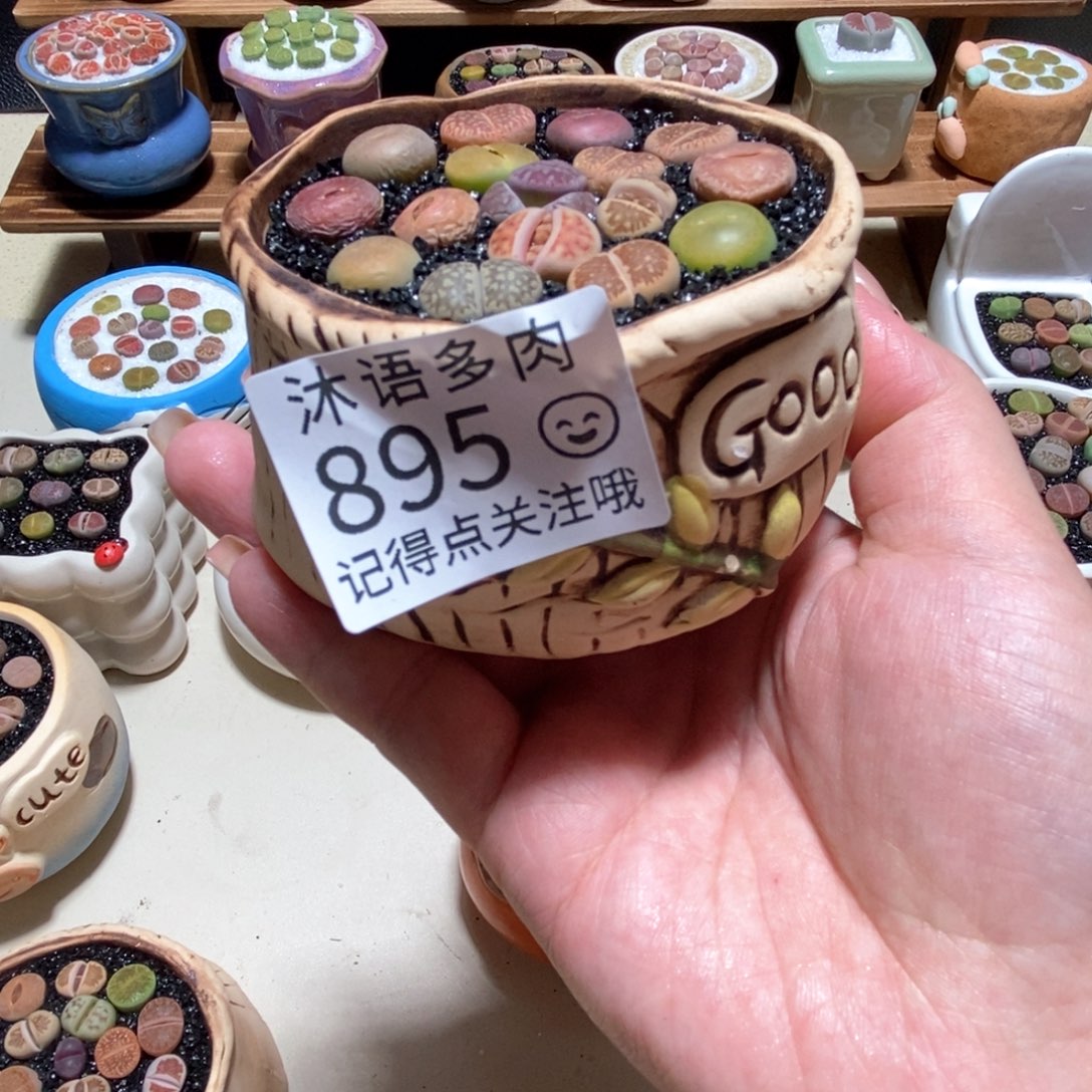 所见即所得 一物一拍895