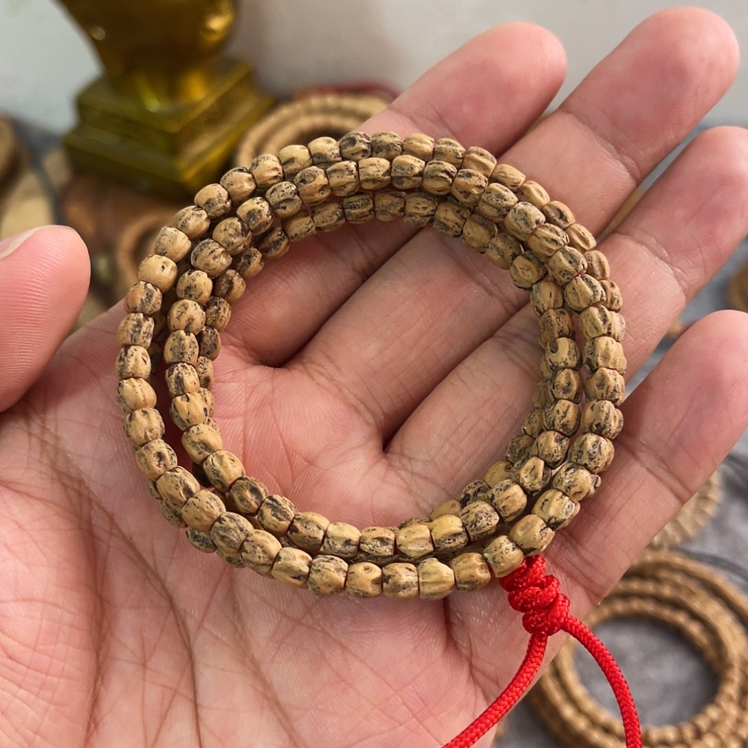 柏香籽/百香籽手串红牙脏脏方块003