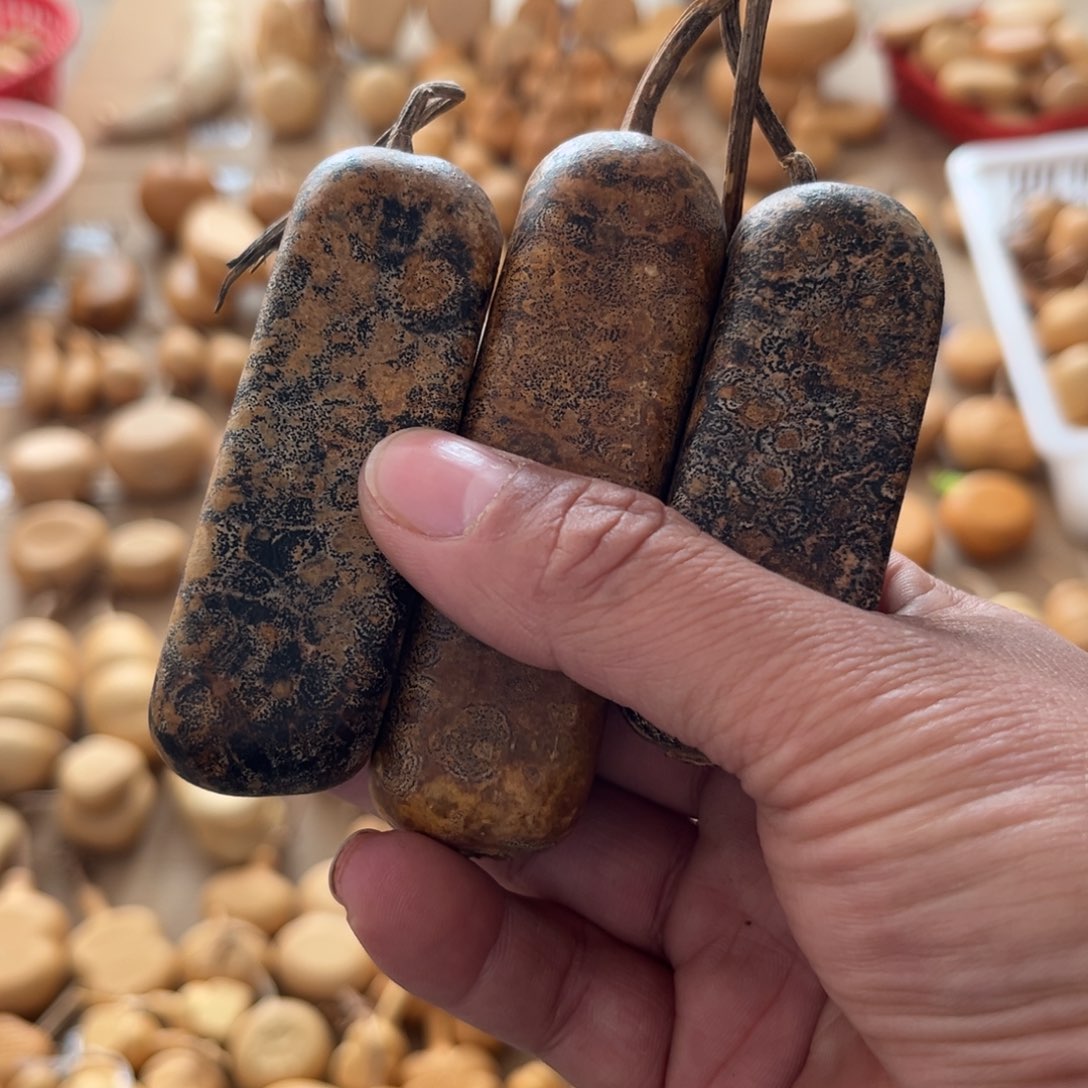 葫芦贝*金条不退不换