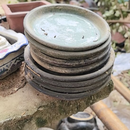 L***者石湾陶瓷接水盘8个