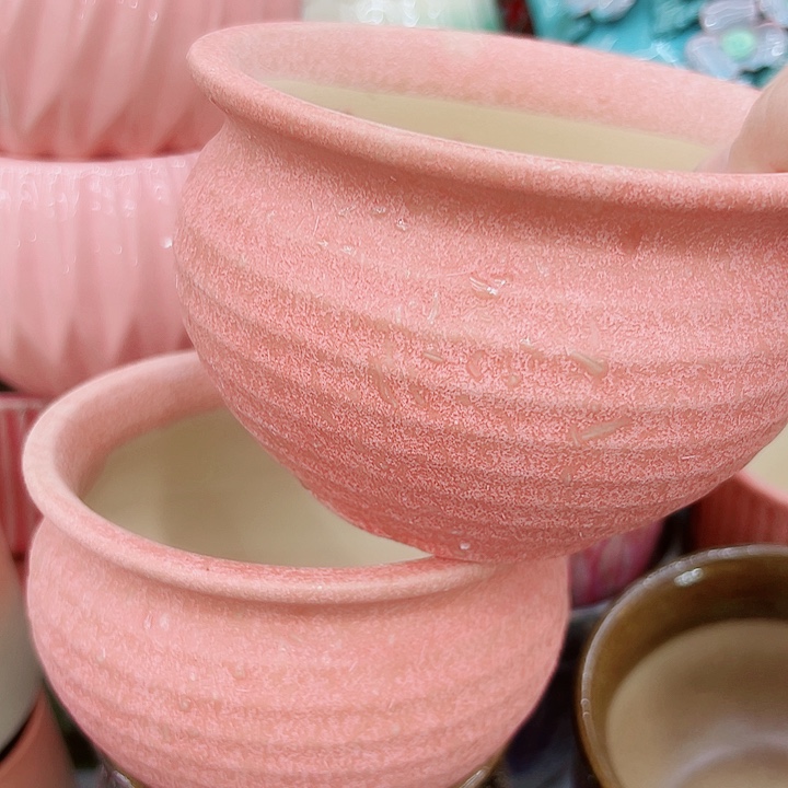 多肉植物陶瓷花盆