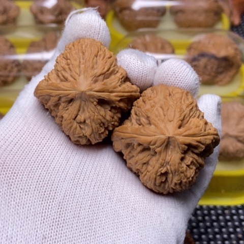文玩核桃把件南疆40