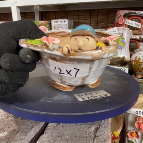 【闪购商品】        