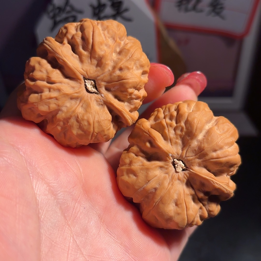 舍****核桃蛙皇47肚尺四开背