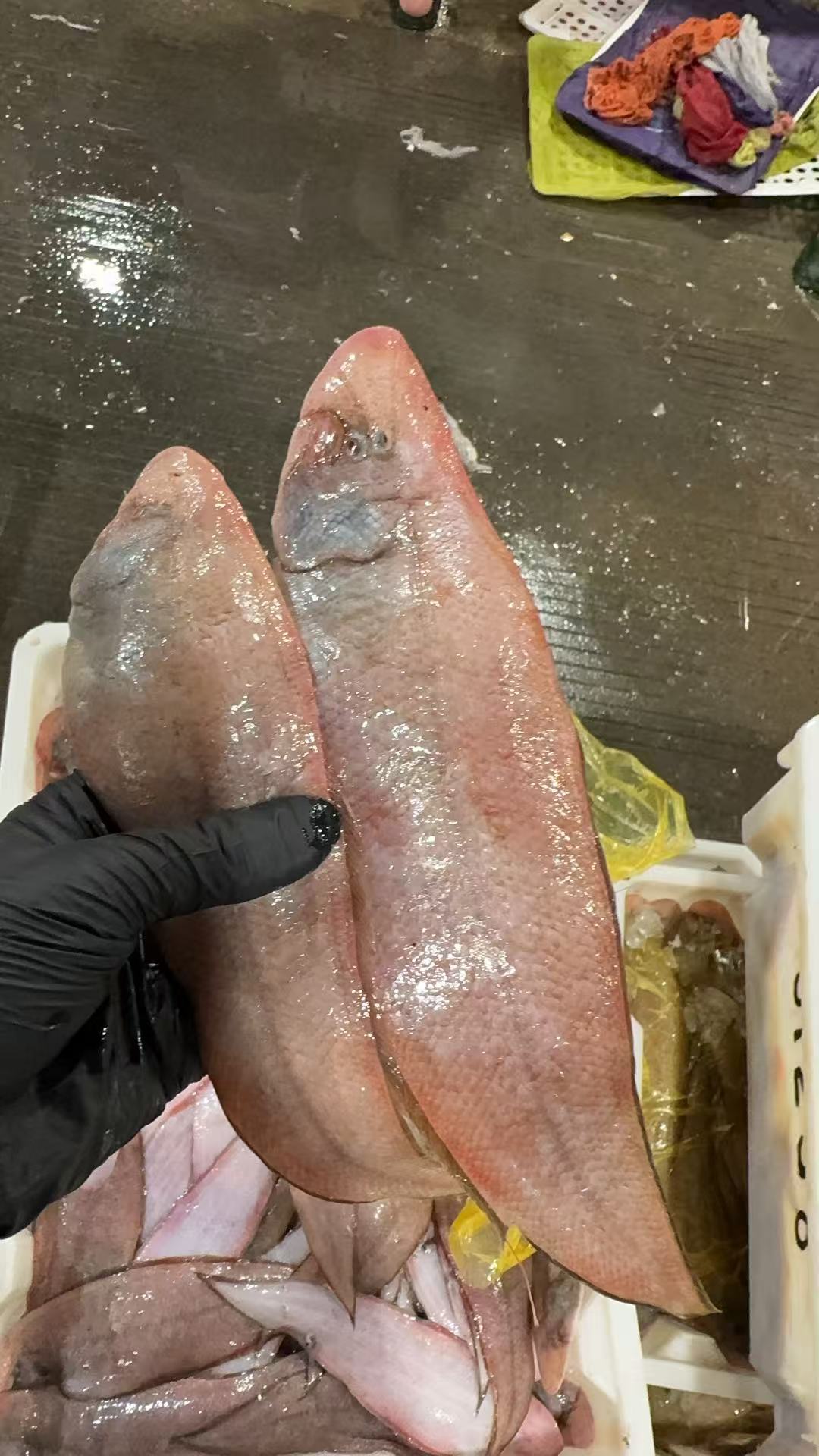 【四斤龙利鱼】台州本港龙利鱼顺丰包邮【具体规格以直播间为准】