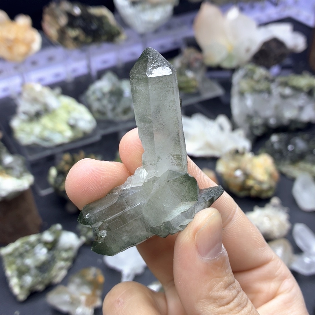 石材小可爱绿幽簇