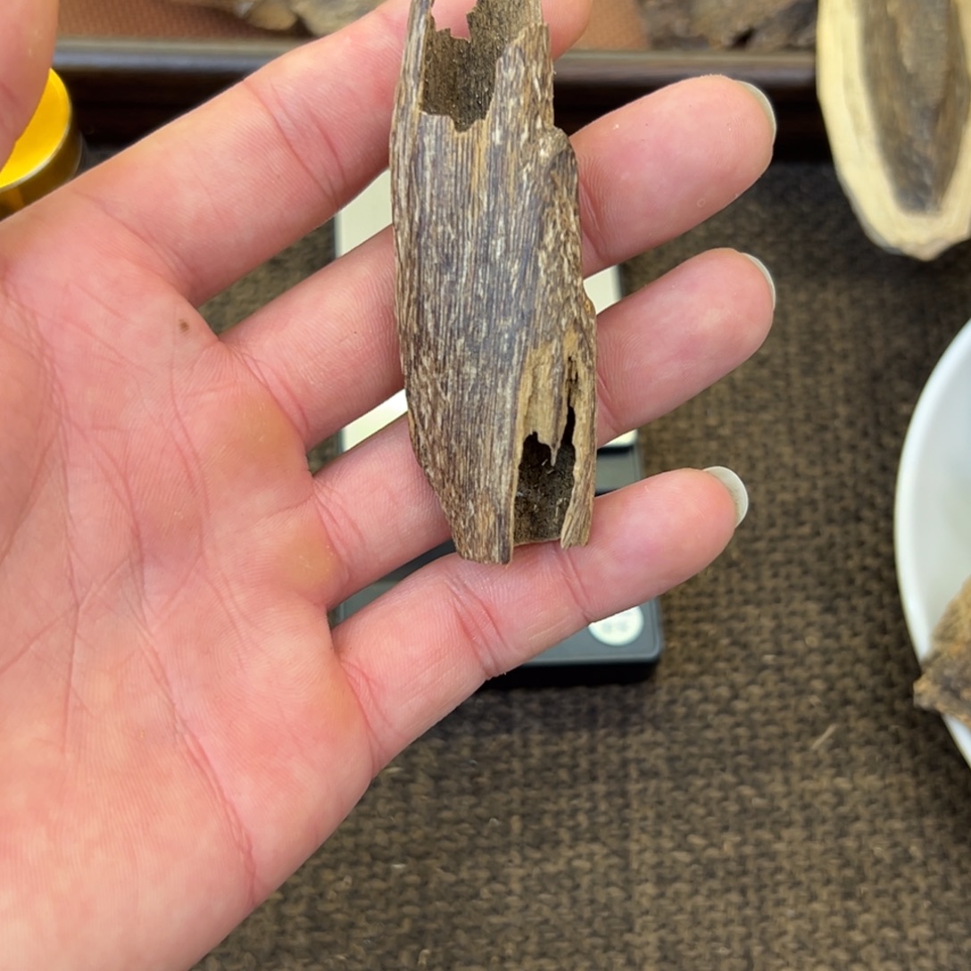 海南天然虫漏树心4.27g